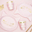 PINK CAT PLATES [PACK OF 6]
