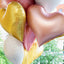 ROSEGOLD HEART FOIL BALLOON
