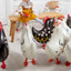 ROOSTER PETLOON