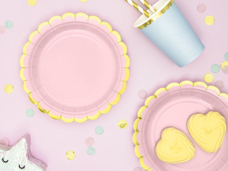 LIGHT PINK PLATES [6 PCS]