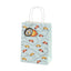 CARS GIFT BAG
